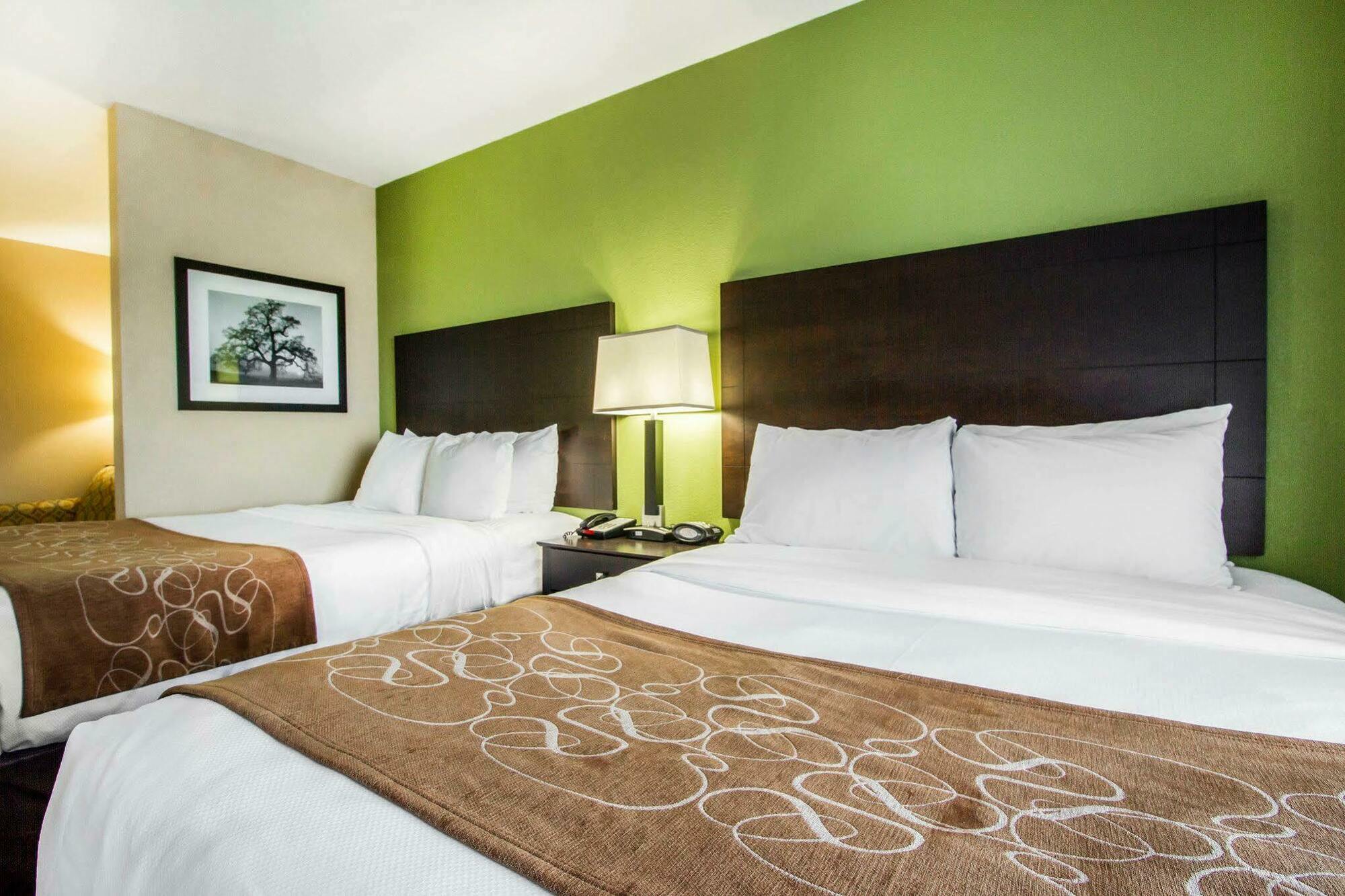 Comfort Suites Jackson I-40 Dış mekan fotoğraf